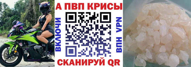 где продают наркотики  Нестеровская  KRAKEN ссылки  Alfa_PVP крисы CK 