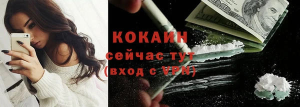 таблы Новозыбков