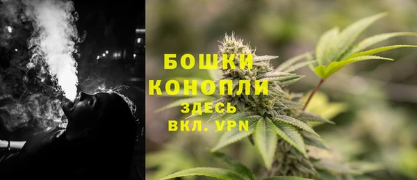мяу мяу мука Гусев