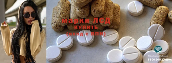 шишки Алзамай