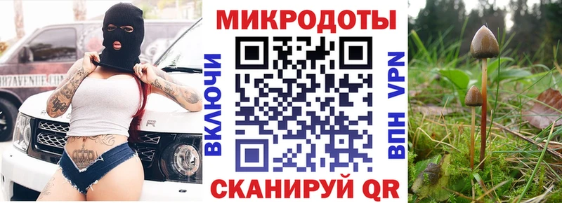 кракен ТОР  Нестеровская  Псилоцибиновые грибы GOLDEN TEACHER 