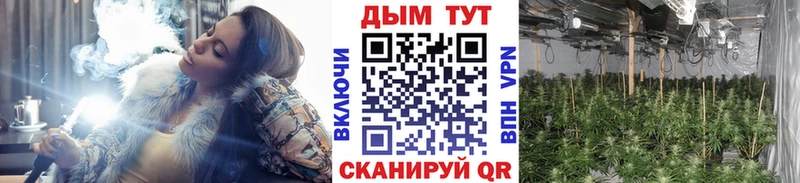 блэк спрут как зайти  Нестеровская  Каннабис White Widow  где можно купить наркотик 